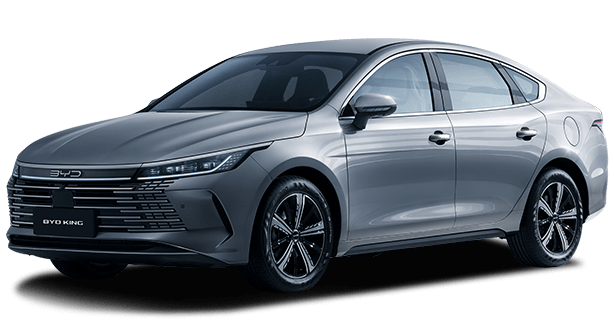 BYD KING